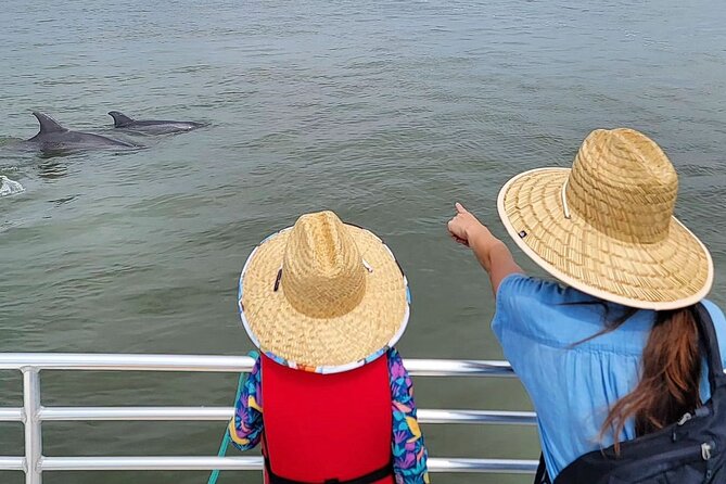 Folly Beach Dolphin Viewing Boat Excursion and Estuary Tour - The Carolina Skiff ride: comfort that doesn’t get in the way