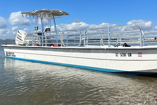 Folly River Dolphin Adventure (options for private or public) - Cruising the salt marsh: wildlife spotting without the rush