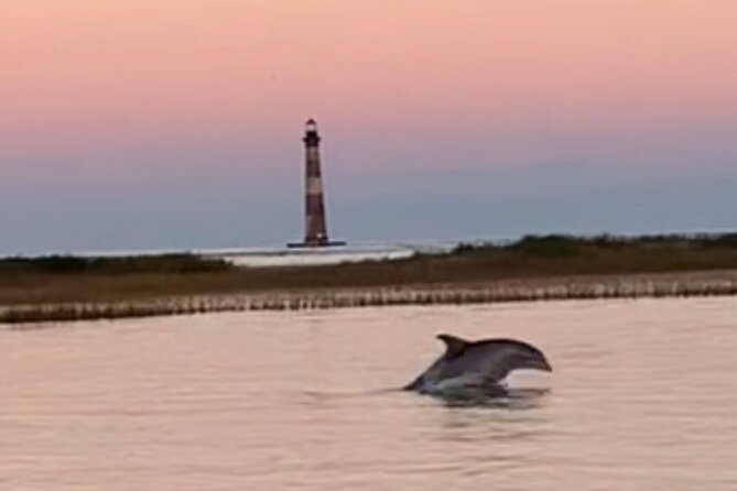 Folly River Dolphin Adventure (options for private or public) - Morris Island Lighthouse stop: when the tide decides your beach time