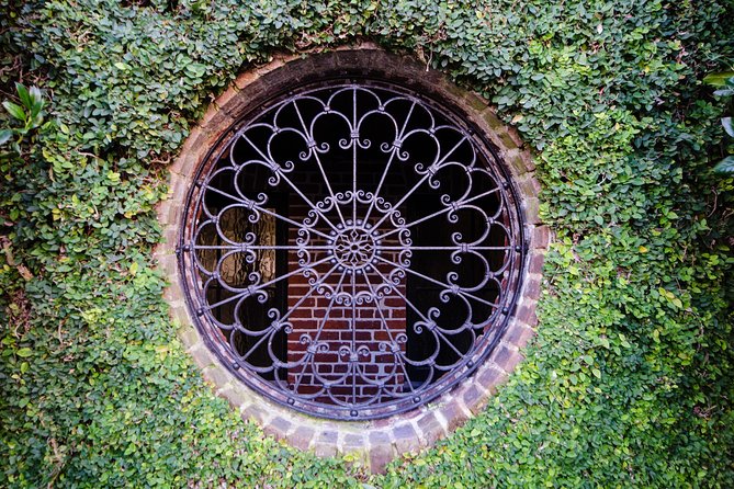 Highlights of Charleston Guided Walking Tour - Starting at Bay Street, Ending Near Broad Street