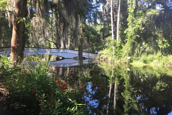Magnolia Plantation Admission & Tour with Transportation from Charleston - Pickup in downtown Charleston: get oriented fast at 375 Meeting St