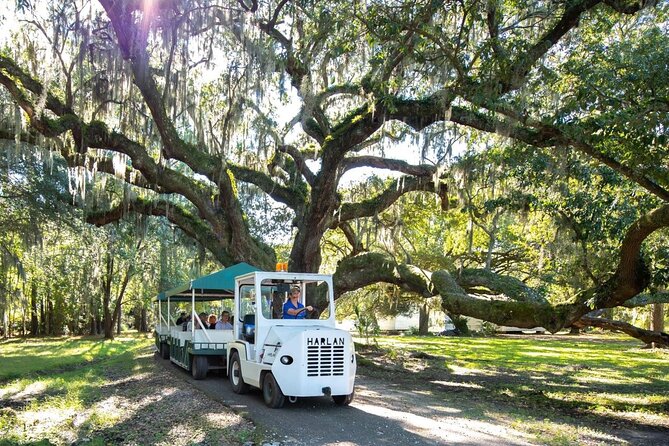 Magnolia Plantation Day Tour with Transportation - Magnolia Plantation at 9:00 am: why this tour works as a Charleston day trip