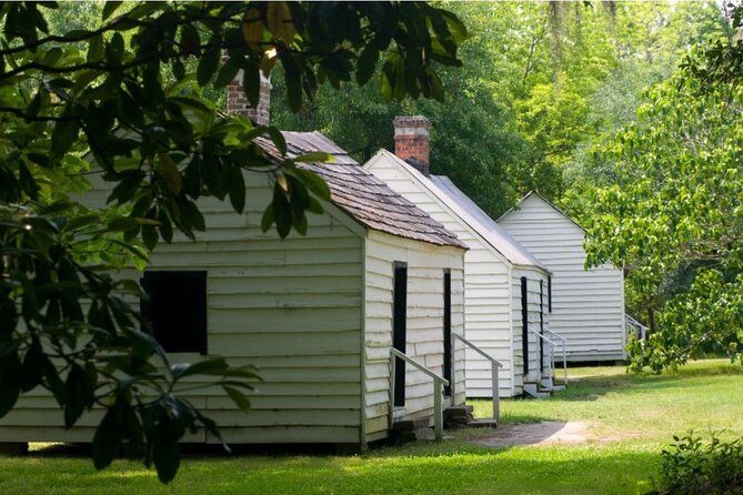 Magnolia Plantation Day Tour with Transportation - Audubon Swamp Garden and Wildlife Center: nature time that doesn’t feel like a detour