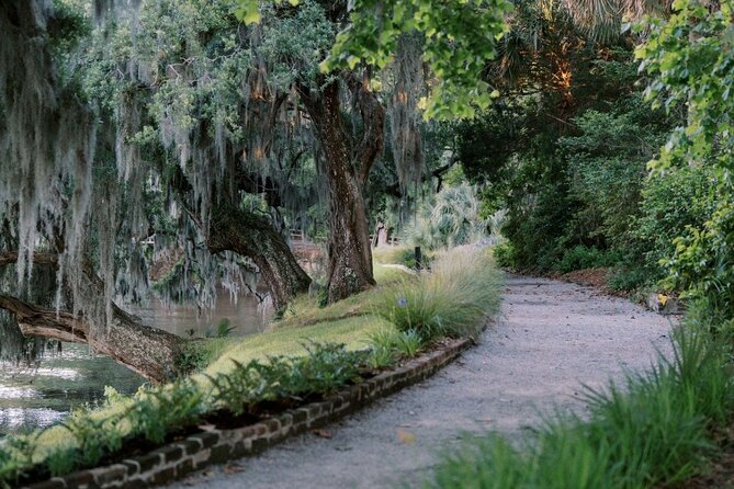 Magnolia Plantation Day Tour with Transportation - Price and value: $75.45 for a guided plantation plus transportation