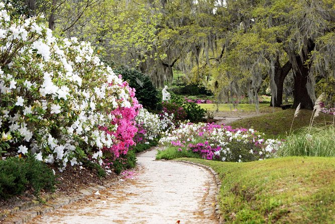 Middleton Place Admission with Self Guided Tour and Lunch - A quick Magnolia Plantation pass-by: why you’ll appreciate it later