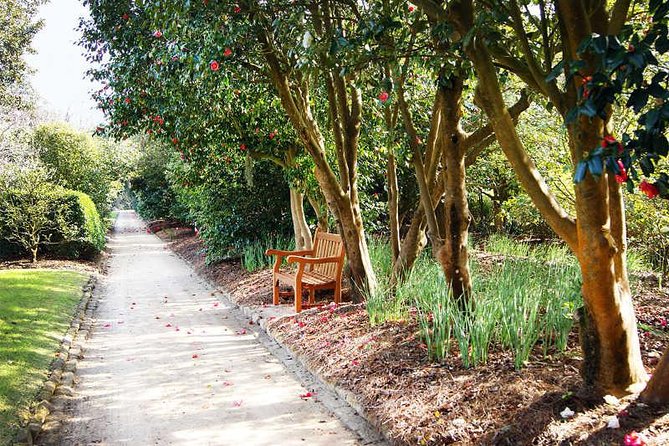 Middleton Place Admission with Self Guided Tour and Lunch - Price and logistics: does $120.90 feel fair?