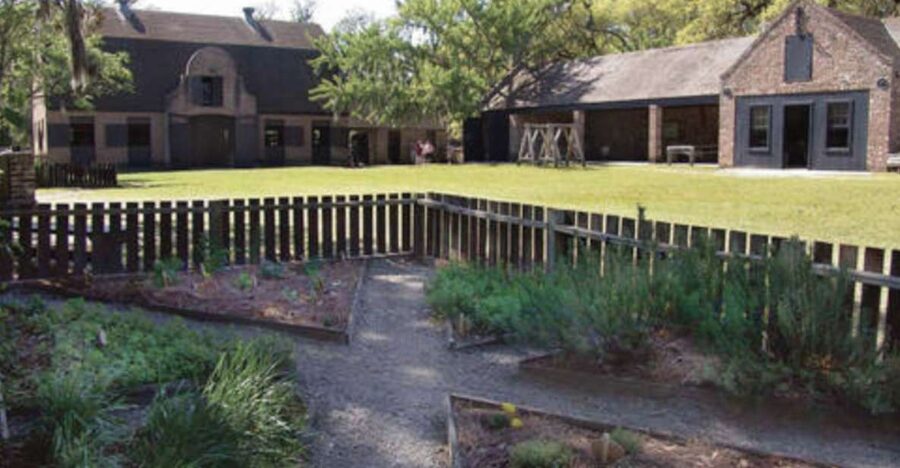 Middleton Place Plantation Tour - Plantation life and slavery history: what the tour teaches and how it lands