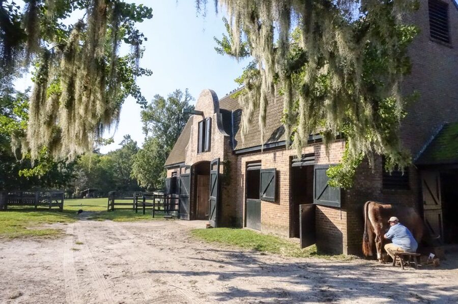 Middleton Place Plantation Tour - What 3 hours feels like in real life (and how to plan your day)