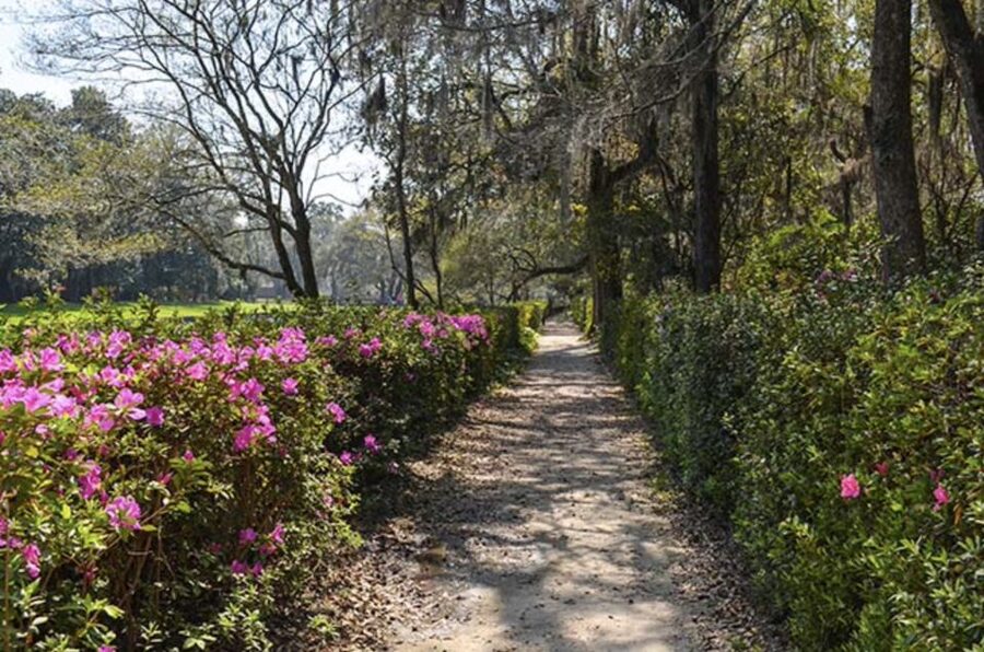 Middleton Place Plantation Tour - Should you book the Middleton Place Plantation Tour?