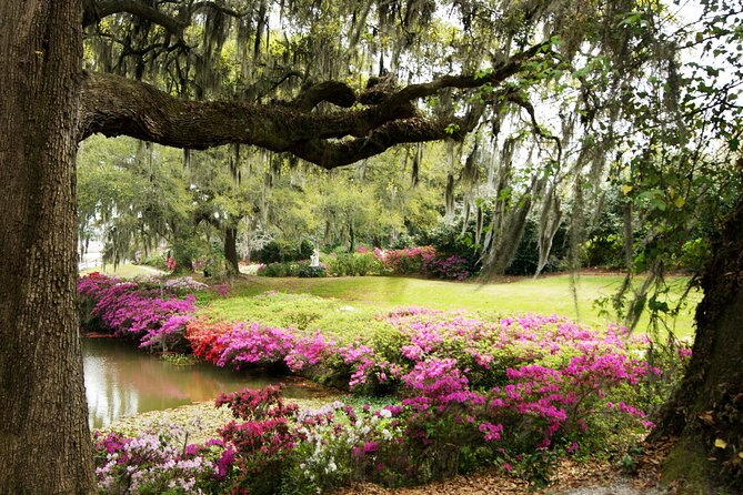 Middleton Place Tour with Lunch and Small Group Transportation - The day’s timing: meeting at 375 Meeting St and what the flow feels like