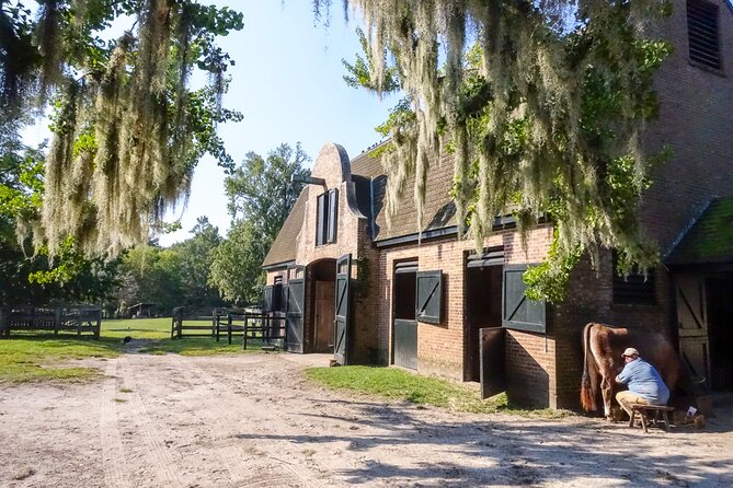 Middleton Plantation-3 hour guided tour- hotel pickup-admission - Middleton Place: Manor House, Working Farmyard, and Early Gardens