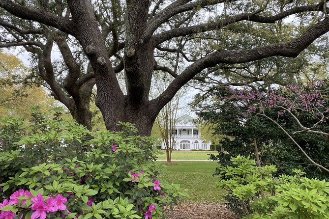 Outer Banks Film Locations Tour - Mount Pleasant: Ravenel Bridge, Shem Creek, and Old Village views
