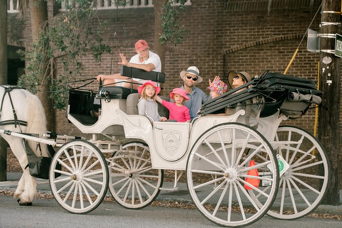 Private Daytime Horse-Drawn Carriage Tour of Charleston - Rainbow Row, The Battery, and Waterfront Park: photos without the sprint