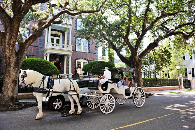 Private Daytime Horse-Drawn Carriage Tour of Charleston - The city lottery route: how to plan when landmarks aren’t guaranteed