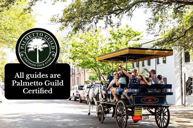 Private Daytime Horse-Drawn Carriage Tour of Charleston - The narration: what you gain beyond the sights