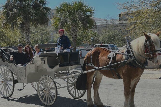 Private Evening Carriage Tour Charleston - Palmetto Carriage - A private 30-minute ride that hits the historic core