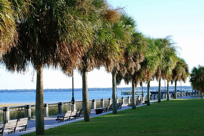 Private Historic Horse & Carriage Tour of Charleston - A 50-minute orientation from 45 Pinckney Street