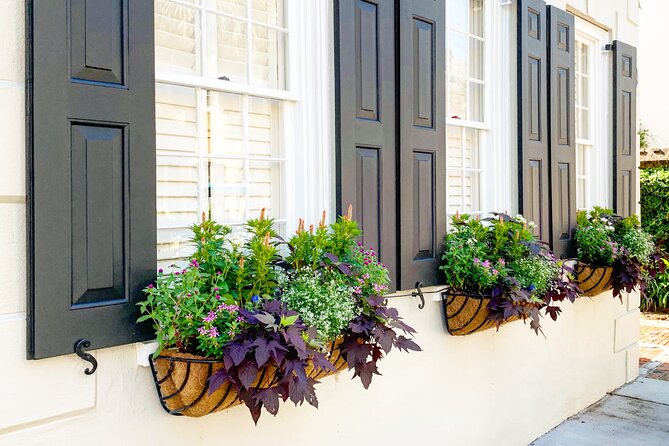 Private Historic Horse & Carriage Tour of Charleston - Where you’ll go: historic district views and street-level storytelling