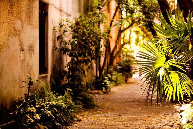 Small Group Historic Charleston walking Tour - Civil War vs. slavery focus: how to get what you came for