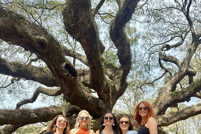 Tea Plantation and Winery Tour in Charleston - Angel Oak: The 15-Minute Lowcountry Photo Moment