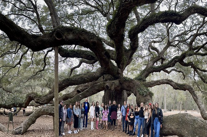 Tea Plantation and Winery Tour in Charleston - Should You Book This Tour?