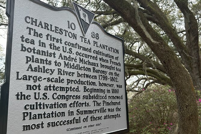 Tea Plantation and Winery Tour in Charleston - Charleston Tea Garden: Unlimited Tea at America’s Only Tea Plantation