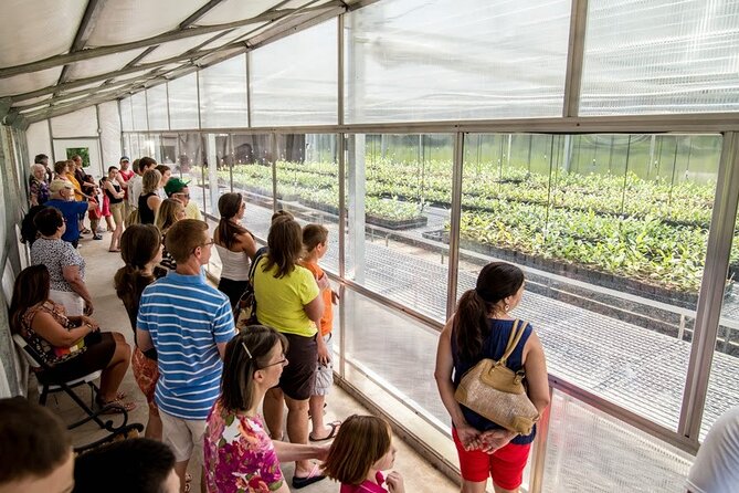 Trolley Tour in Wadmalaw Island of South Carolina - Tea Samples, the Gift Shop, and Getting Value from the Tasting