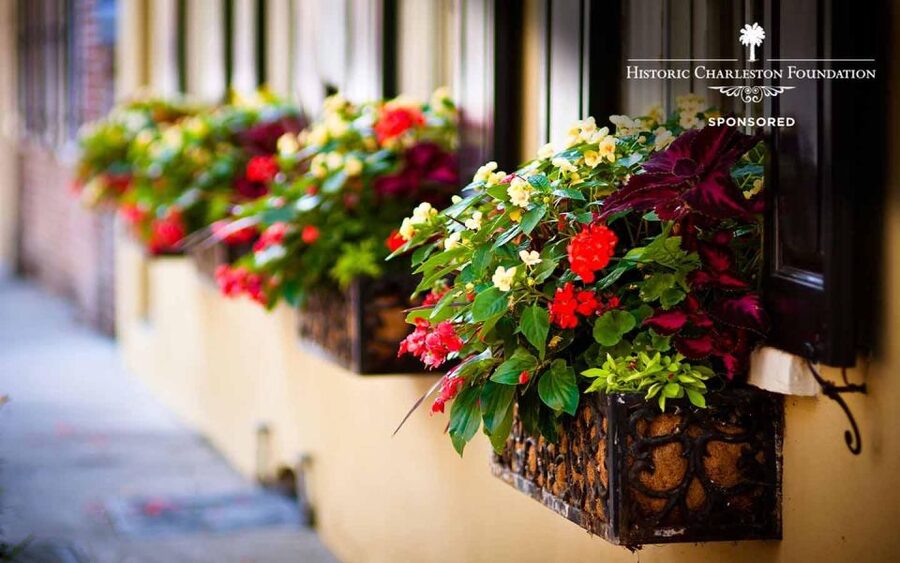 Walking history tour Charleston SC - Rainbow Row and White Point Gardens: Why the Views Matter