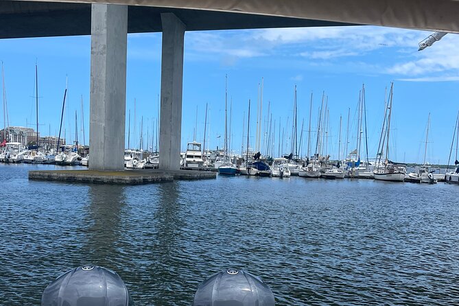 White point Battery and River Run through Charleston Harbor Boat - Why This Charleston Harbor Cruise Works So Well