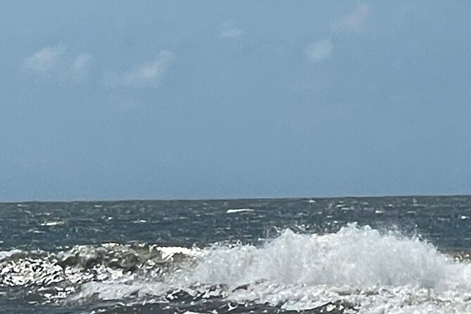 White point Battery and River Run through Charleston Harbor Boat - Duration, Timing, and How to Get Full Value From 2 to 3 Hours