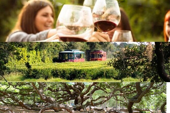 Wine Sippin'-Tea Drinkin'-Tree Huggin' Lowcountry Sightseeing - Key Points Worth Booking For