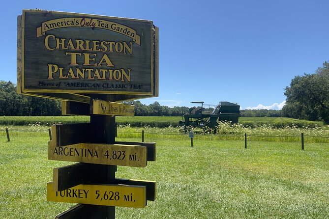 Wine Sippin'-Tea Drinkin'-Tree Huggin' Lowcountry Sightseeing - Deep Water Vineyard: Wine Tasting Plus a Walk Through the Vines